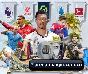 arena-maiqiu.com.cn APP